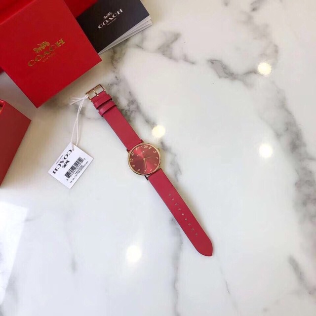 ‼️RẺ VÔ ĐỊCH ‼️ Đồng hồ NỮ COACH