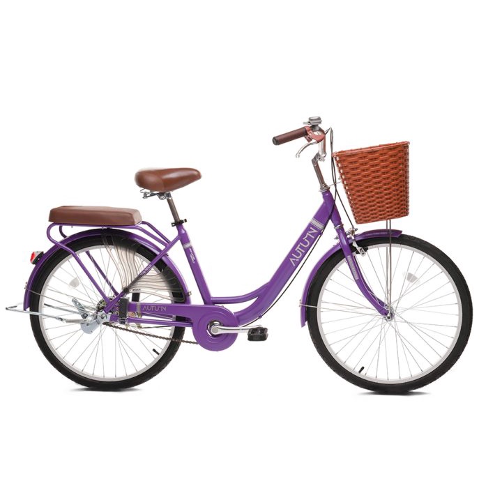 Xe Đạp Nữ Thống Nhất Antum LD 24″–01. Xe Đạp Mini Cho Bé Từ 1m4 và Người Lớn. Cam Kết Hàng Chính Hãng.