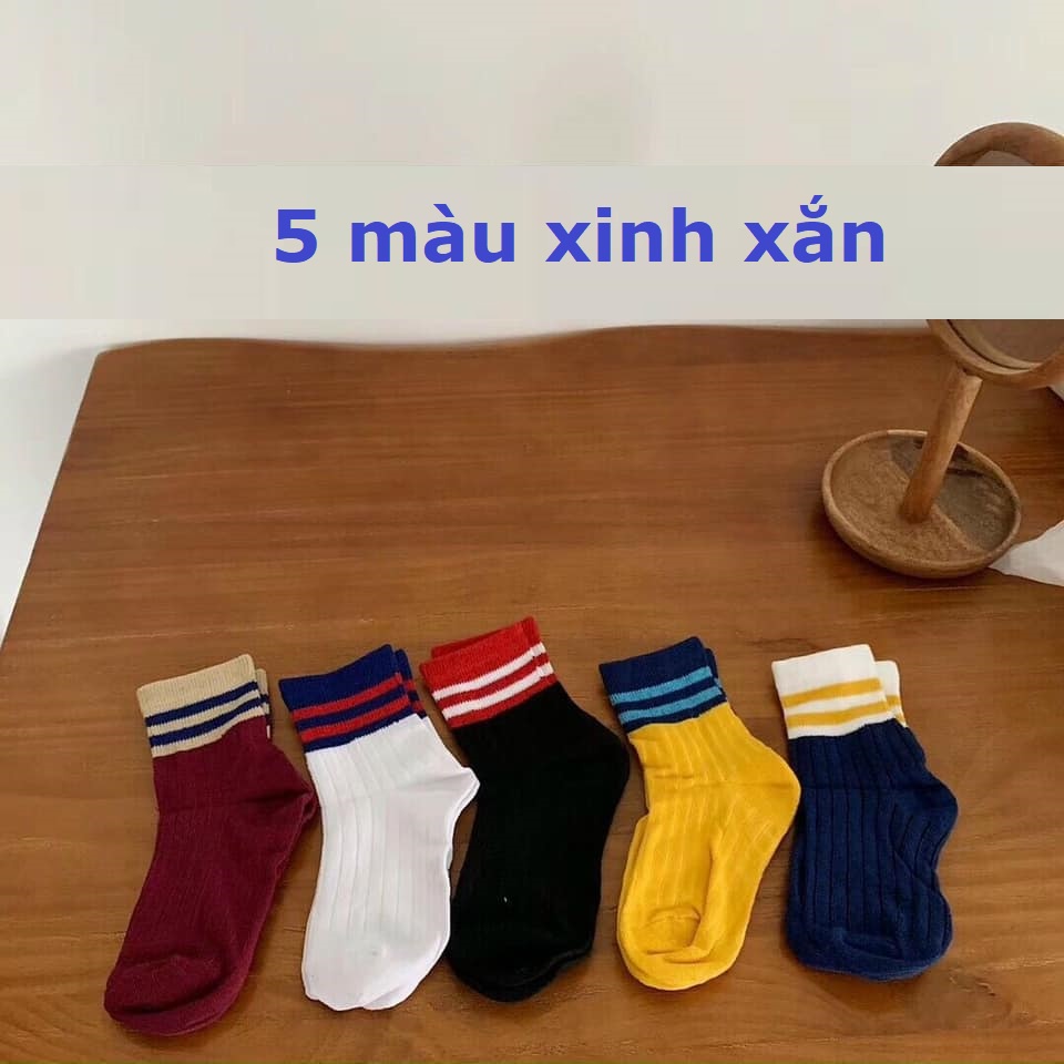 Set tất trẻ em nhiều màu xinh xắn cho bé trai bé gái TR37