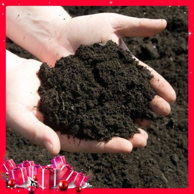 Chậu nhựa trắng kim cương trồng hoa, cây cảnh