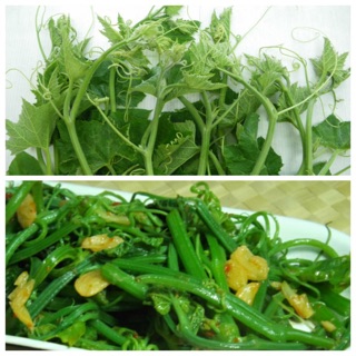 HẠT GIỐNG BÍ ĂN NGỌN PD686
