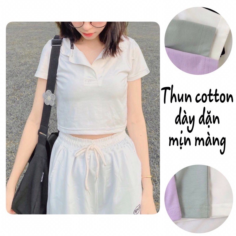 Áo croptop polo nữ cổ bẻ trơn basic ulzzang  Áo phông cộc tay nữ chất thun co giãn