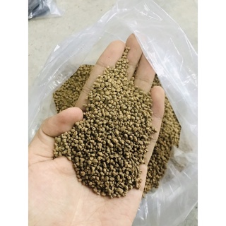 Đá Akadama - Phân nền Nhật bản - 500gram