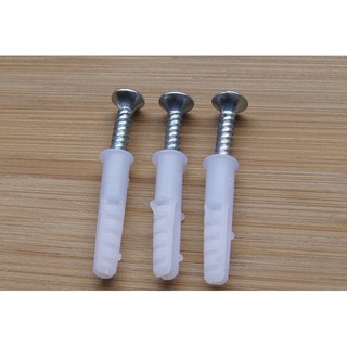 Tắc kê nhựa phi 6 (100 cái)