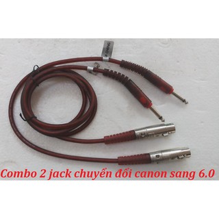 Combo 2 dây chuyển đổi tín hiệu canon sang 6.0 - cn6.0