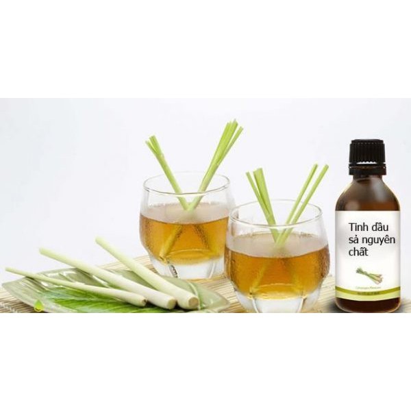 Tinh dầu sả tự nhiên