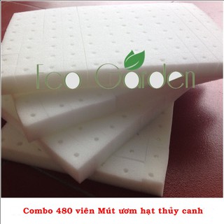 Combo 480 viên Mút xốp ươm hạt, mút ươm hạt thủy canh
