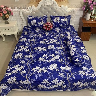 Bộ chăn drap gối 5 món cao cấp