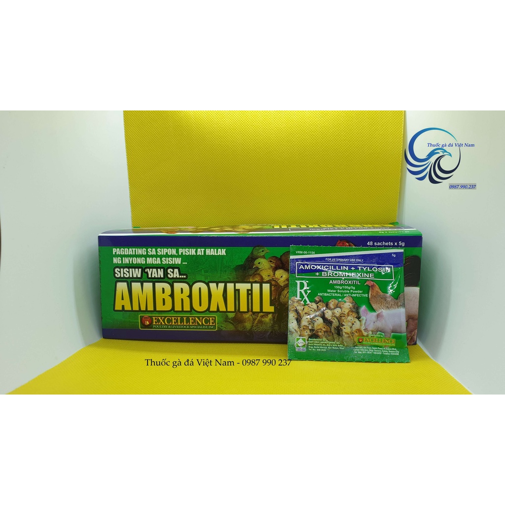 Úm Gà Con AMBROXITIL