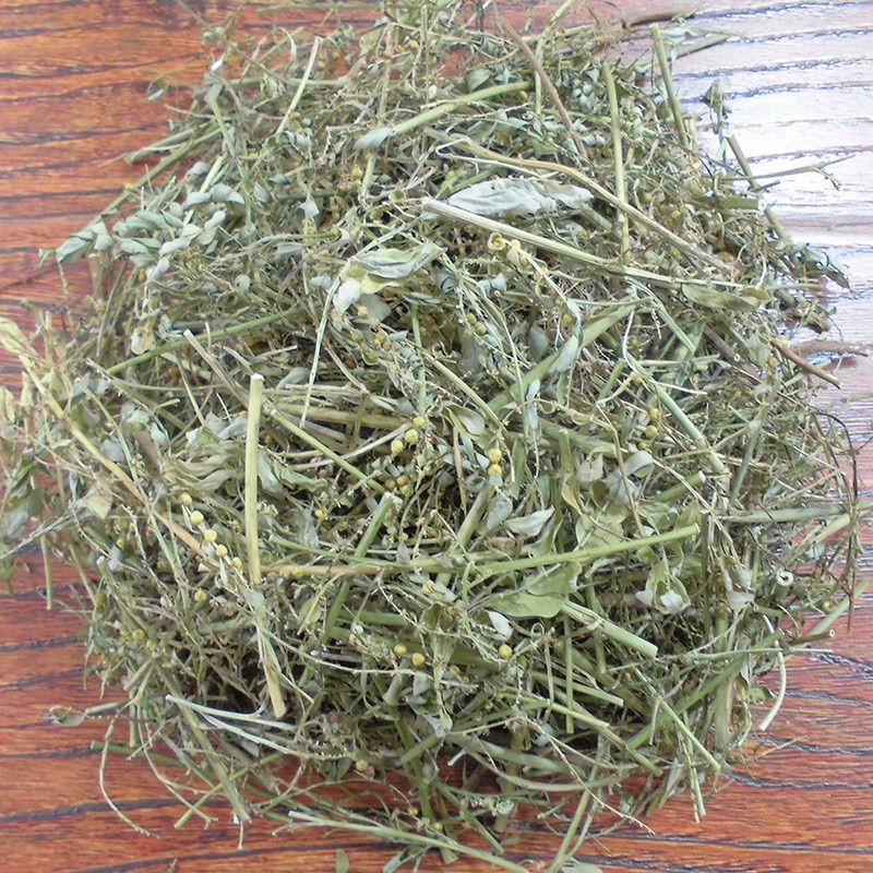 Diệp hạ châu khô túi 500g và 1kg Anh cá