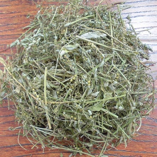 Diệp hạ châu khô túi 500g và 1kg Anh cá