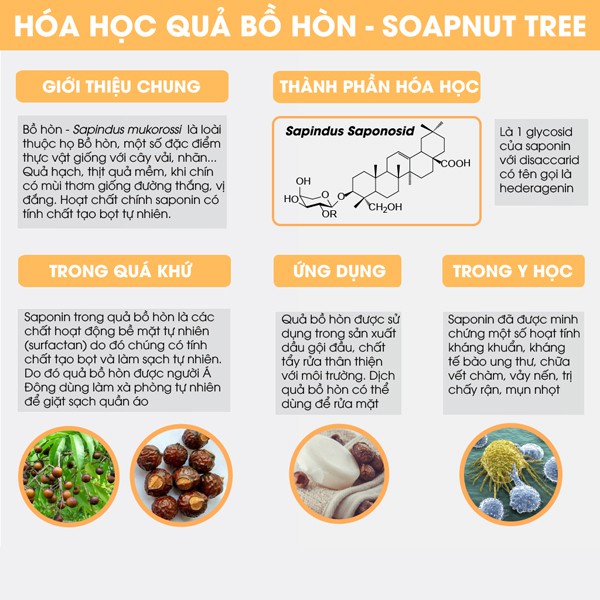 Quả Bồ Hòn Tách Hạt 100g