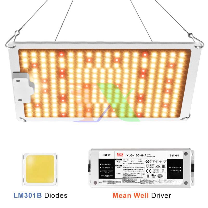 Đèn trồng cây Lượng tử QBC1000, Led grow lights chip Samsung 1000W, Đèn trồng rau trong nhà