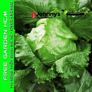 COMBO 200 HẠT GIỐNG XÀ LÁCH CRISPINO – Johnny’s Seed – Mỹ