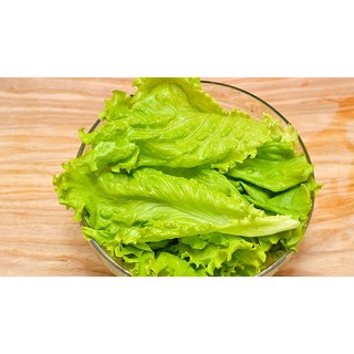 Xà Lách RĐ 357 ( 10gr ) - Rạng Đông
