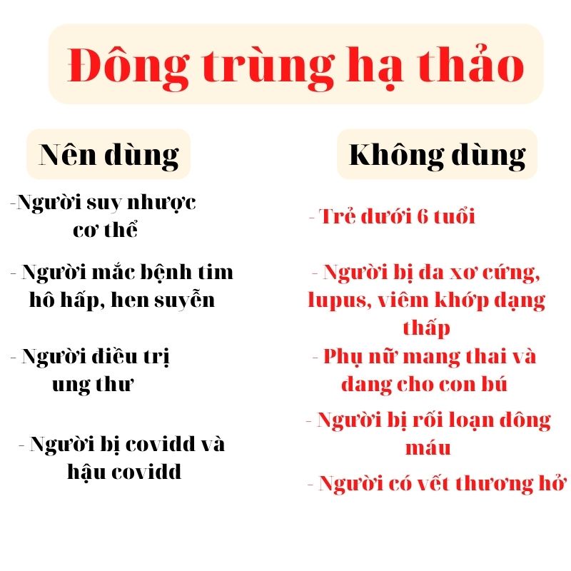 Đông trùng hạ thảo sấy khô thương hiệu NOCOVY đảm bảo chất lượng giúp ăn ngon, ngủ sâu  cam kết chất lượng