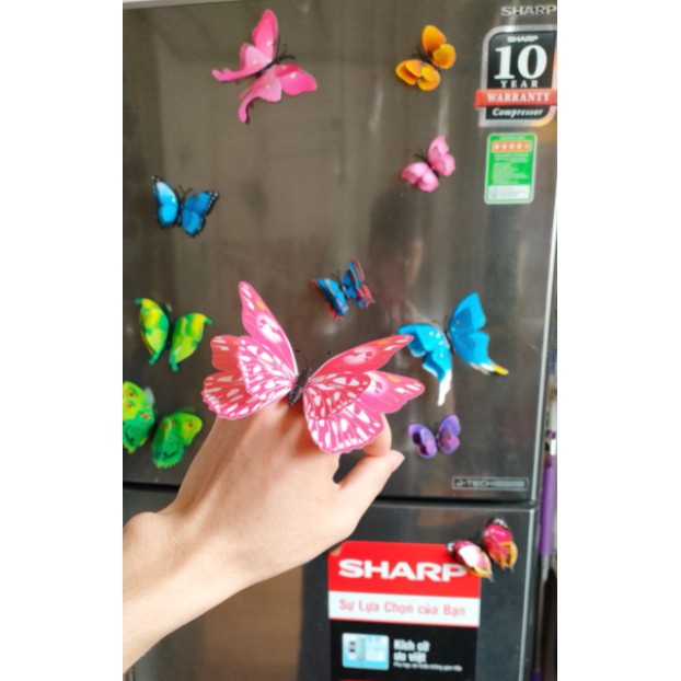 Bộ 12 bướm 3D trang trí nhiều màu (SP000792)