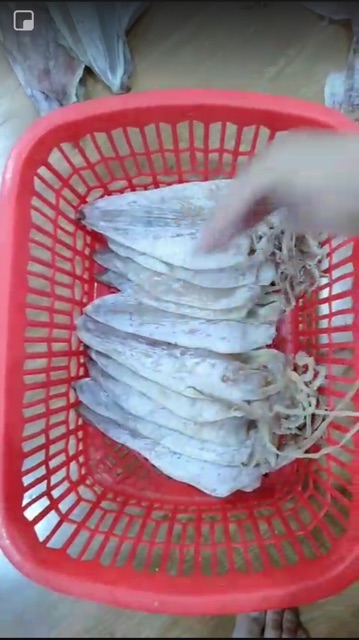 Mực khô Vân Đồn size 20con/kg | BigBuy360 - bigbuy360.vn