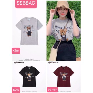 (New 2021) Áo thun áo phông Nelly hình gấu bông