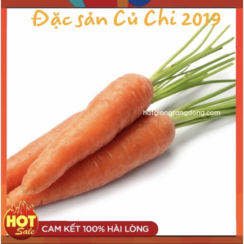 [Nảy mầm tốt] Hạt giống Carrot Rado 507