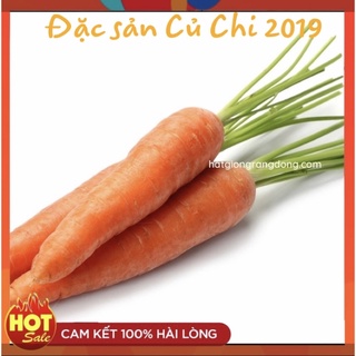 Hạt giống Carrot Rado 507