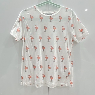 [Thanh lý] Áo thun PULL&BEAR nhiều mẫu