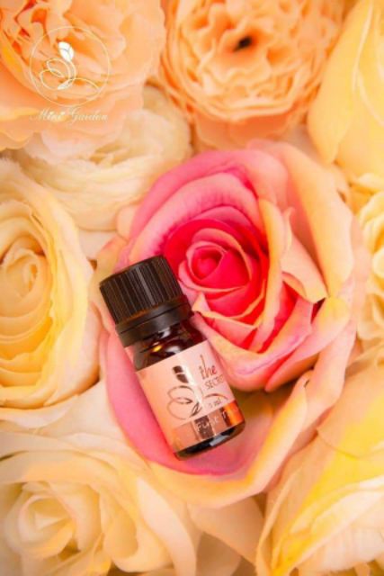 Nước Hoa Cô Bé - Nước Hoa Vùng Kín Minigarden 5ml hàng chuẩn chính hãng | Thế Giới Skin Care