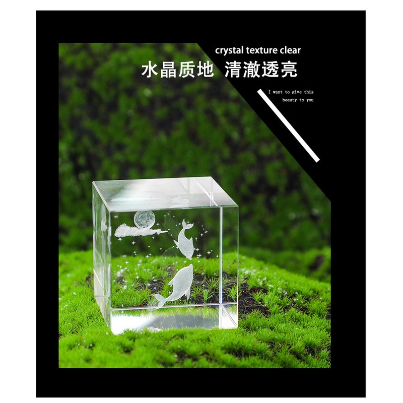 Khối Pha Lê Trong Suốt Chạm Khắc Họa Tiết Ngôi Sao Biển 3D Sáng Tạo Trang Trí Nội Thất