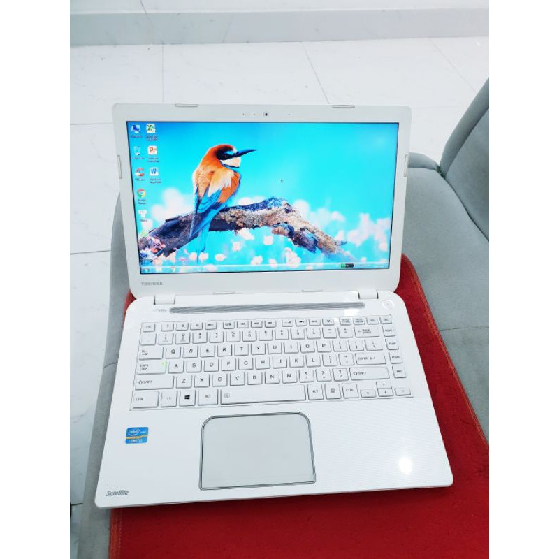 khách yêu đã ủng hộ chiếc toshiba đẹp như ngọc trinh | BigBuy360 - bigbuy360.vn