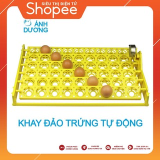 Khay Đảo Trứng Tự Động 54 Quả, Ấp Trứng Gà, Trứng Vịt, Trứng Ngan