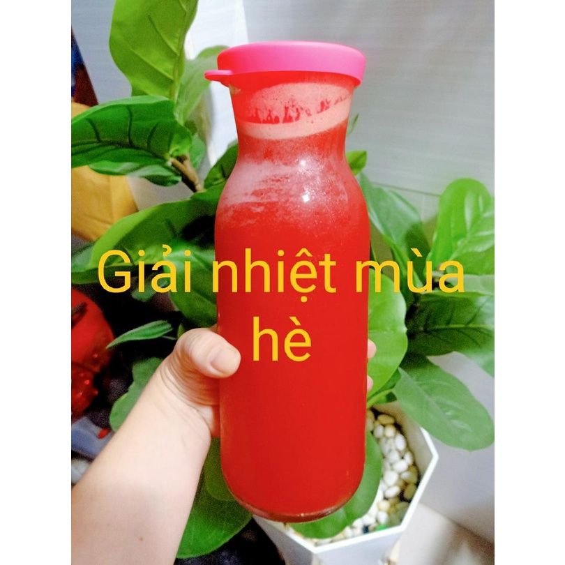 Bình Thủy Tinh LAV