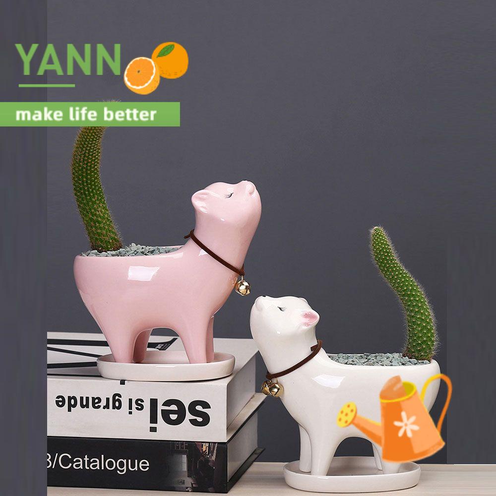 Chậu Hoa Bằng Gốm Hình Mèo Dễ Thương Thời Trang