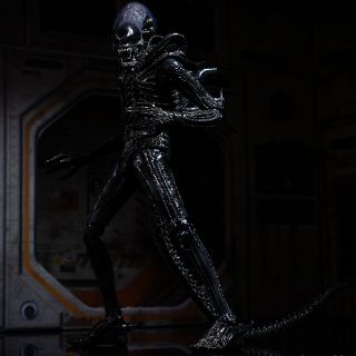 Mô hình NECA Alien Big Chap có sẵn