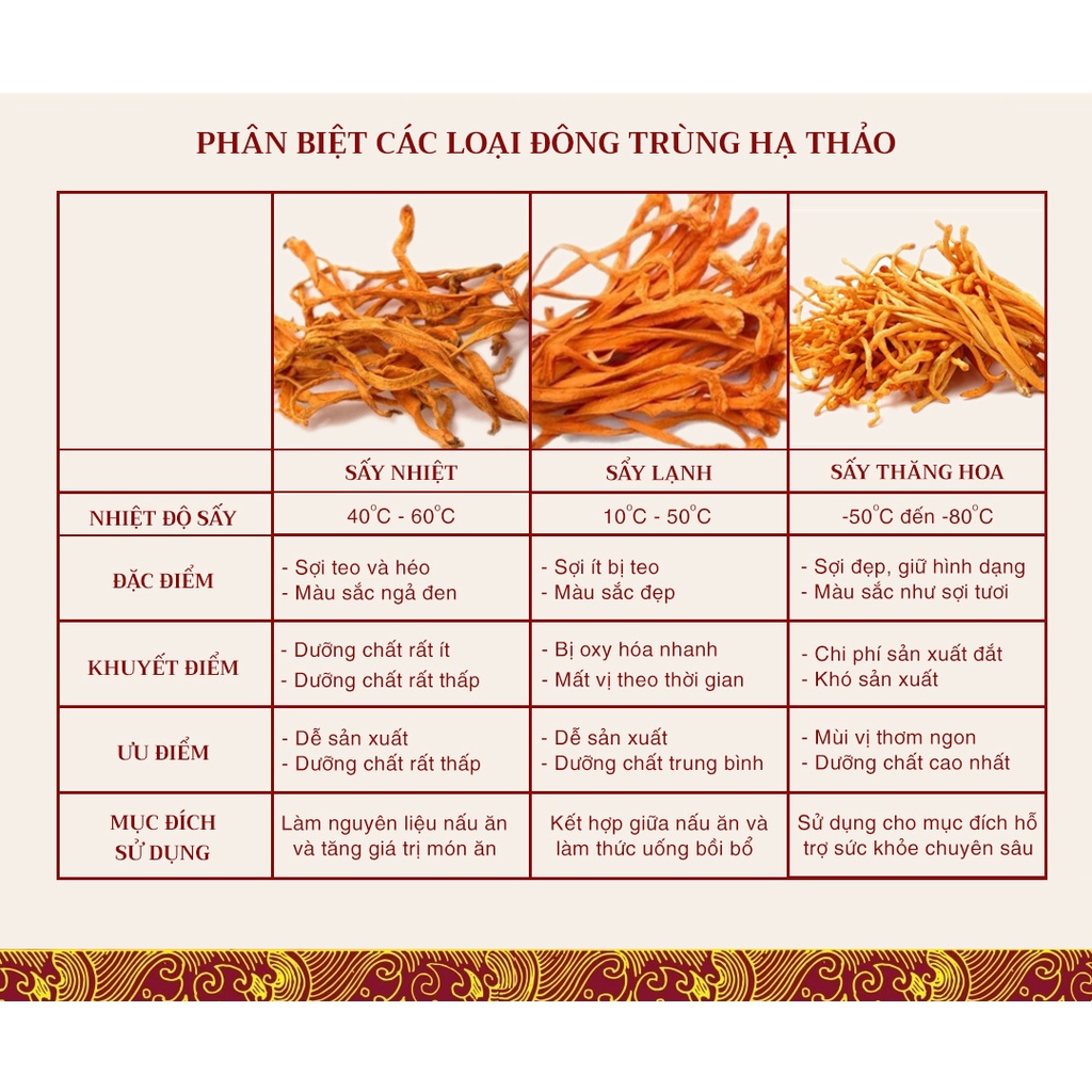 [ Combo 3 hộp ] Đông trùng hạ thảo LADOGA Sấy thăng hoa đóng 3 hộp 10 gam - Màu ngẫu nhiên