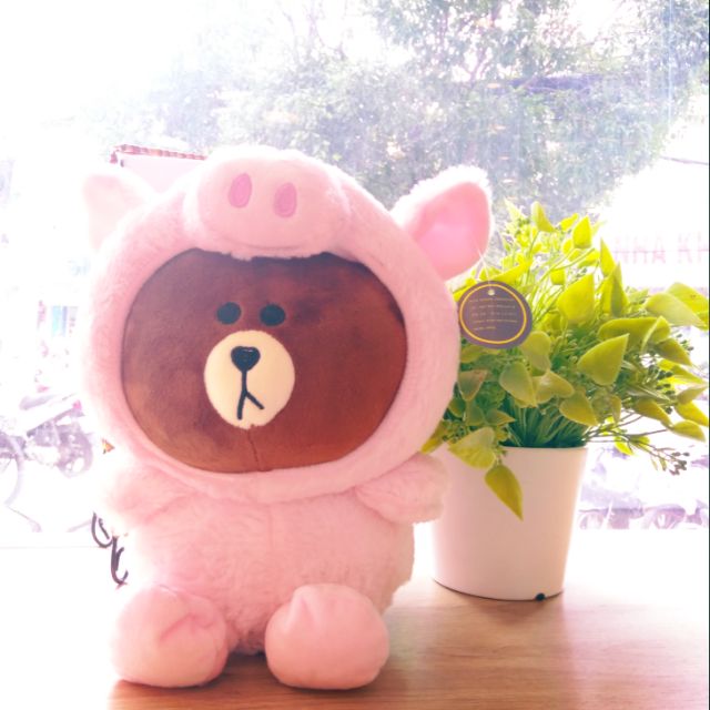 Gấu Brown cosplay heo hồng