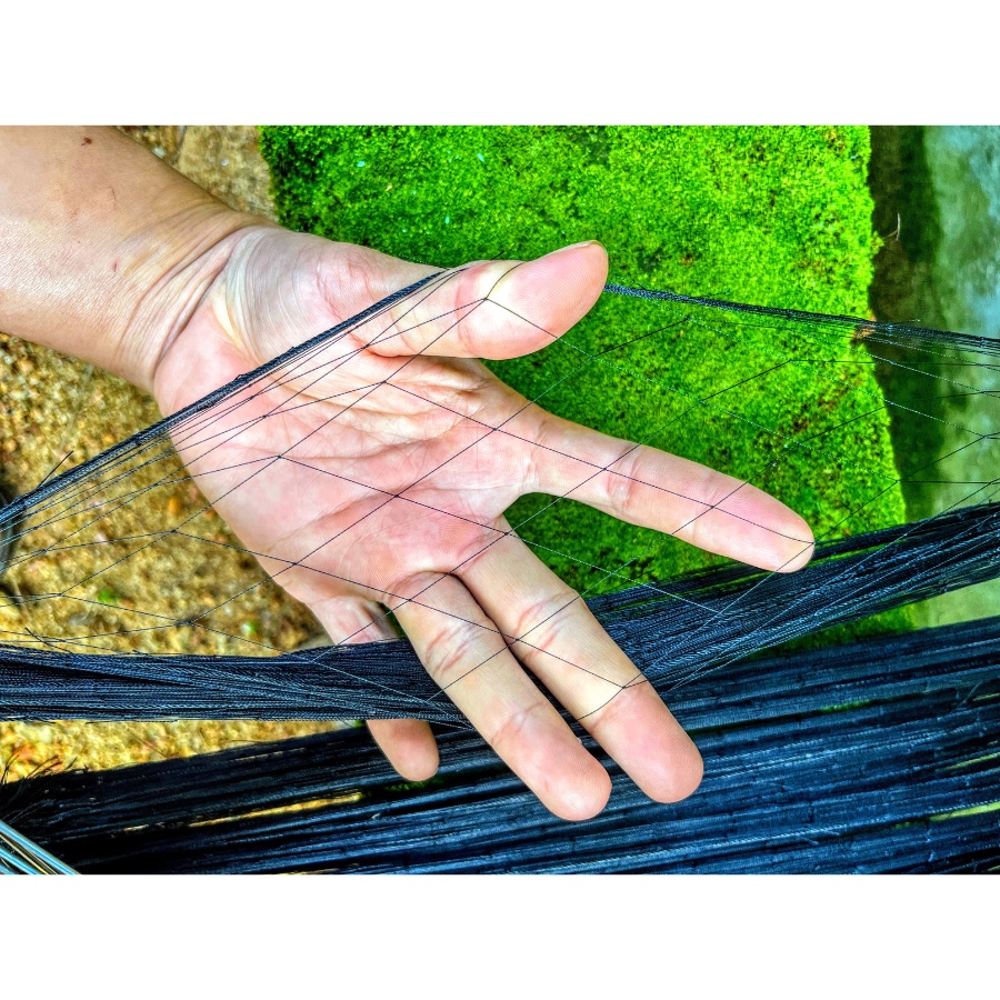 Bộ 10 cung bẫy cút, mắt lưới 5p sợi nhuyễn siêu tàng hình, khung thép ac độ bền cao siêu nhạy