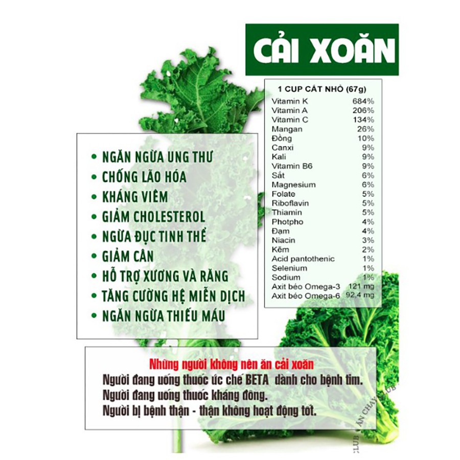 Bột Cải Xoăn Behena giảm cholesterol - Bột Cải Kale Hỗ Trợ Tiêu Hóa - giúp bé phát triển trí não