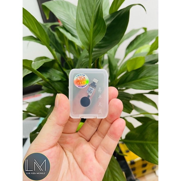 Nút Home Iphone Dùng Chung 7Plus/ 8Plus