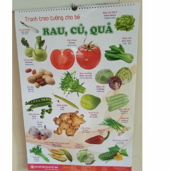 Bộ tranh treo tường 12 chủ đề song ngữ anh - việt dochoigo.vn