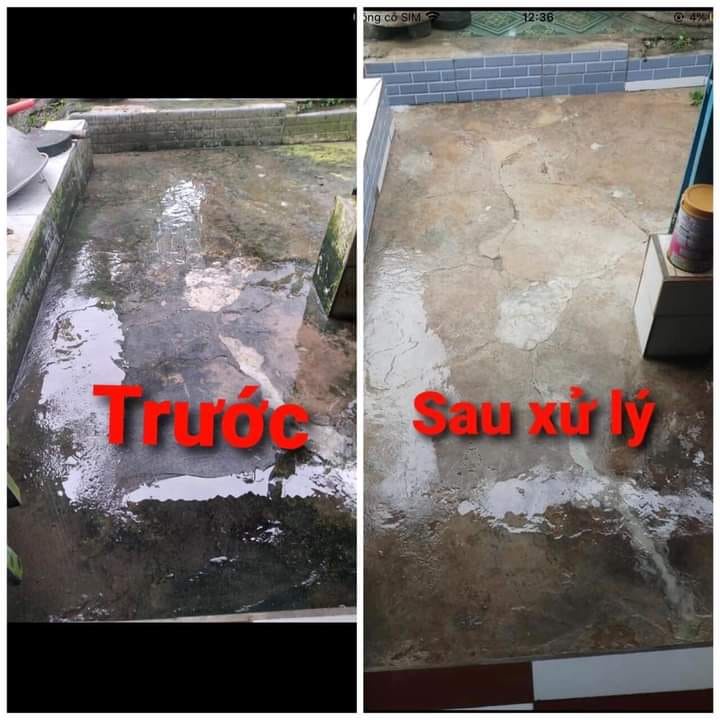 Bột tẩy rong - Chính hãng - Giá xưởng