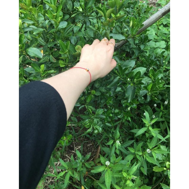 Bột thảo dược 100% không pha tạp (Medicine BODY MASK - FACE MASK)_dưỡng trắng hồng | BigBuy360 - bigbuy360.vn