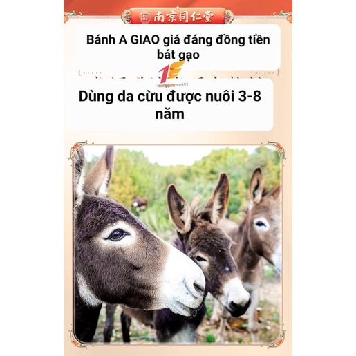 Bánh A Giao cố nguyên cao Nam Kinh Đồng Nhân đường