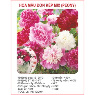 HẠT GIỐNG HOA MẪU ĐƠN KÉP MIX