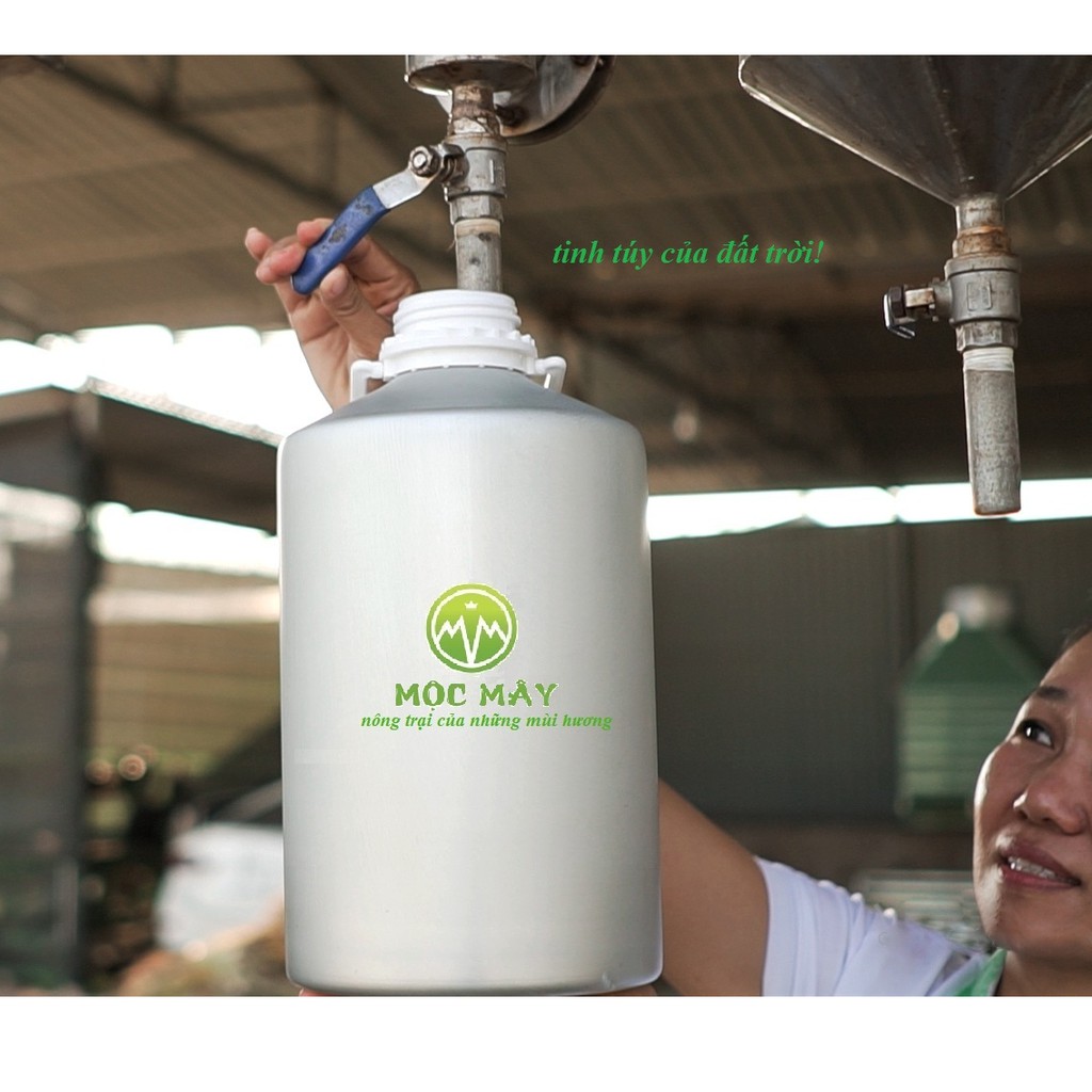 Tinh dầu dứa (thơm) nguyên chất Mộc Mây chai 100ml (Có kiểm định bộ y tế, chất lượng và mùi hương vượt trội)