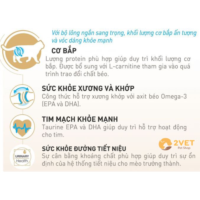 Thực Phẩm RC - BRITISH SHORTHAIR ADULT - Hạt Khô Dinh Dưỡng Dành Cho Mèo Anh Lông Ngắn - Gói 400G