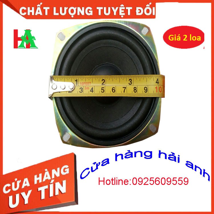 SIÊU GIẢM GIÁ - BASS 10 VI TÍNH - GIÁ 2 CHIẾC