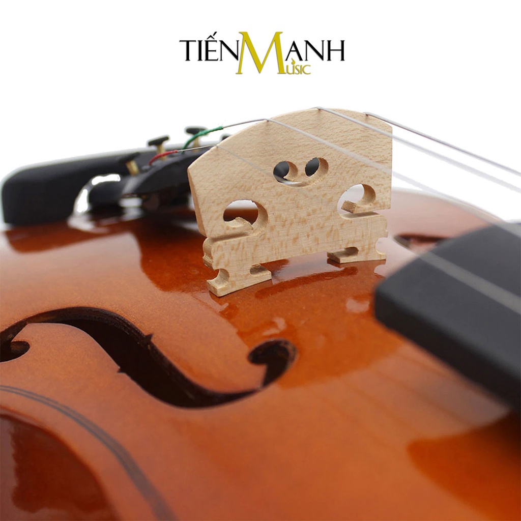 [Chính Hãng, Gỗ Tấm, Tặng Sticker] Đàn Violin Omebo RV205 Size 4/4, 3/4, 1/2, 1/4, 1/8, 1/10, 1/16 - Vĩ Cầm RV-205