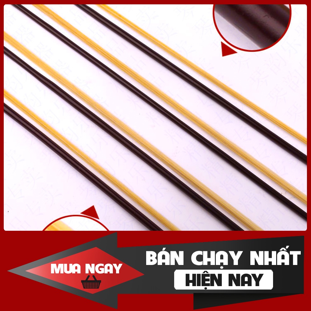 Vỹ Đàn Nhị Cao Cấp