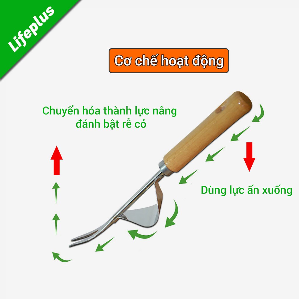 Chỉa nhổ cỏ sâu đánh bật rễ bằng thép không gỉ cán gỗ, Dụng cụ nhổ cỏ, cắt cỏ, bứng cây con làm vườn tiện lợi