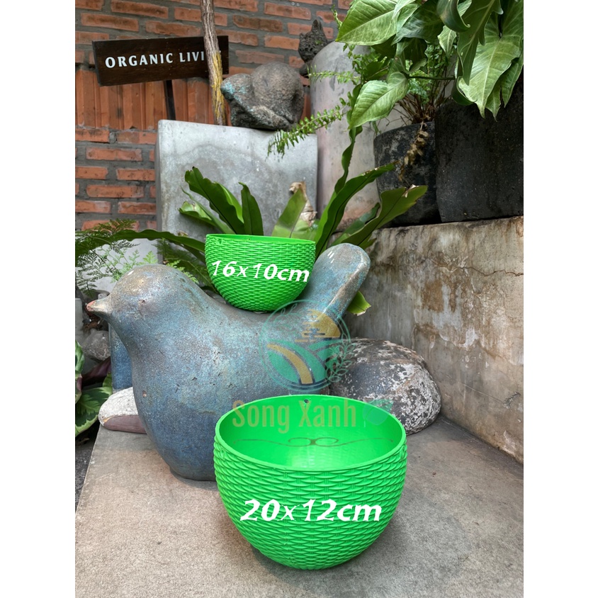 Chậu Nhựa Trồng Cây Họa Tiết Vân Mây, Nhựa Dẻo loại 1, Sẵn lỗ thoát nước .